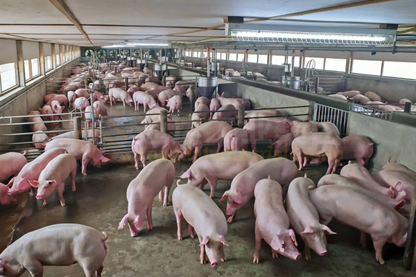 有機(jī)肥生產(chǎn)線技術(shù)方案,農(nóng)村有機(jī)肥廠的投資和利潤(rùn)分析