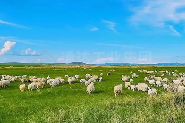 建有機肥廠解決了草原牛羊堆糞難題,牛羊糞如何進一步加工處理做成綠色有機肥料?