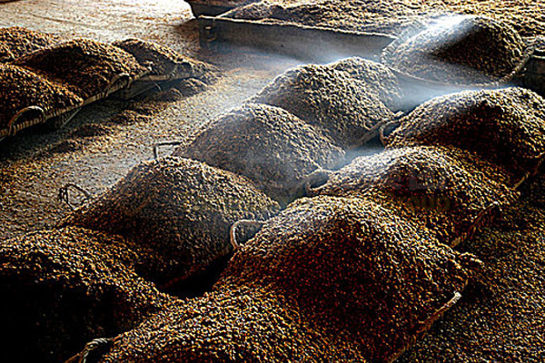 酒糟怎么做成有機(jī)肥?酒糟加工有機(jī)肥配套設(shè)備有哪些?