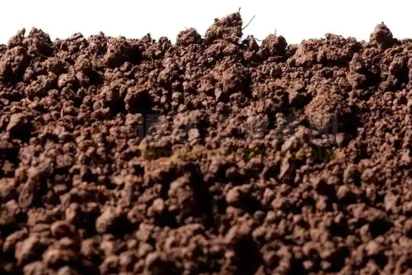 蚯蚓吃秸稈牛糞豬糞解決環(huán)保,蚯蚓糞制成有機(jī)肥料創(chuàng)富生財(cái)